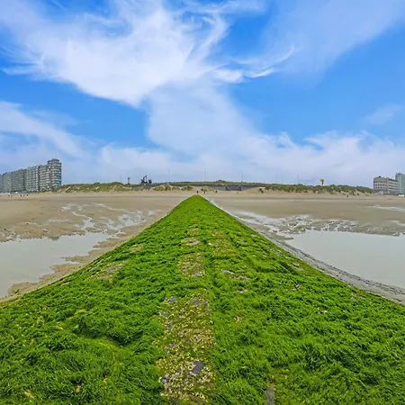 アパート Flat In Ostend Near The Beach, Cleaning Included *